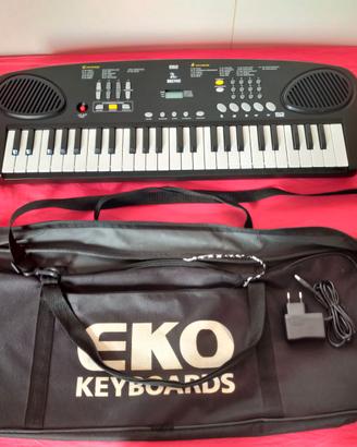 Pianola portatile con alimentatore e borsa