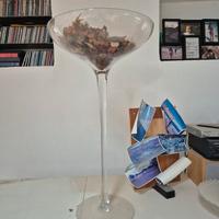 maxi coppa vetro champagne