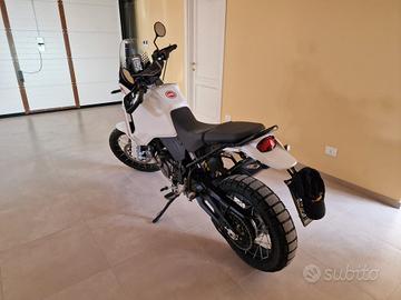 ducati desert x