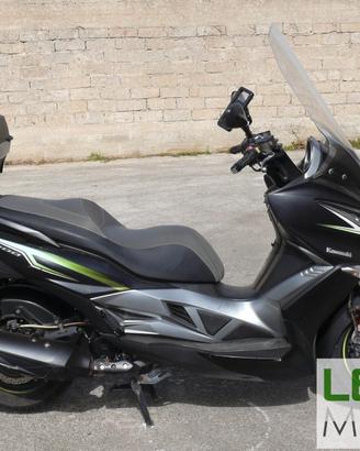 Kawasaki J300 (M1510)