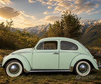 Volkswagen Maggiolino 1963 6volt
