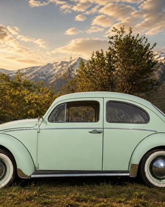 Volkswagen Maggiolino 1963 6volt