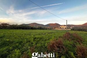 Terreno Residenziale Calvi Risorta