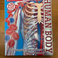 Human Body - Steve Setford