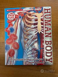 Human Body - Steve Setford