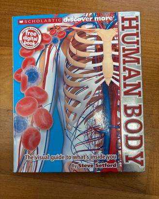 Human Body - Steve Setford