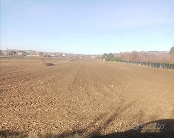 Terreno con pozzo