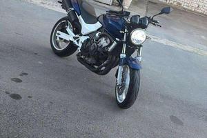 honda hornet