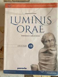 Luminis orae 1b
