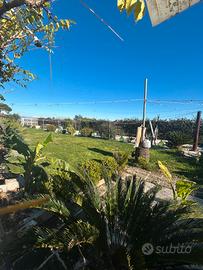 Casolare in aperta campagna