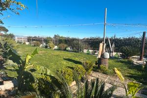 Casolare in aperta campagna