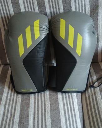 guantoni boxe 