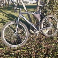 MTB WILIER TRIESTINA