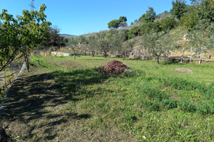 Terreno edificabile con progetto approvato