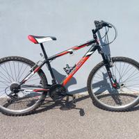 Mountan Bike Galant taglia media