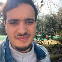 Au pair/Badante/lavapiatti/