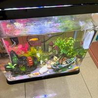 Acquario completo
