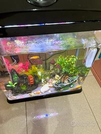 Acquario completo