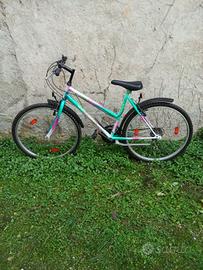 Mountain bike da ragazzo 