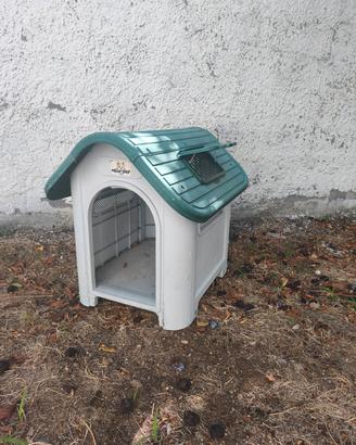 cuccia per amimali