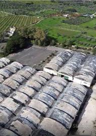 Immobile di 13600 m² a Patù
