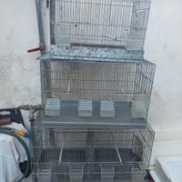 Disponibili gabbie in blocco o singolarmente