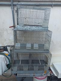 Disponibili gabbie in blocco o singolarmente