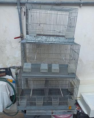 Disponibili gabbie in blocco o singolarmente