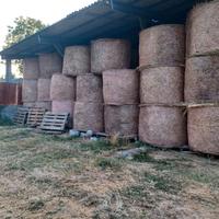 fieno di prato naturale 