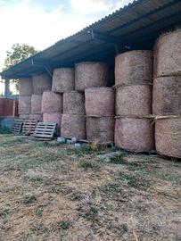 fieno di prato naturale 