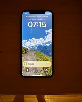 Iphone xs 256 gb