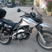 Aprilia Pegaso 650 - 2007