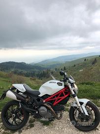 Ducati Monster