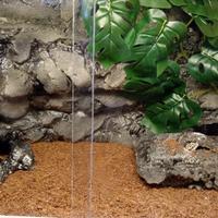 Terrari in legno