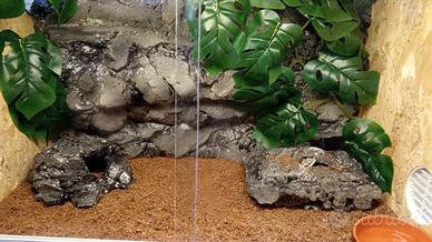 Terrari in legno