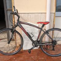 Bici Lombardo Amantea 100