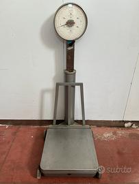 Bilancia professionale