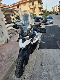 triumph tiger 900 gt pro