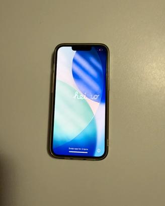 iPhone 13