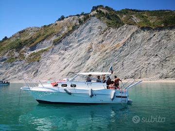 Dc8 dellapasqua e carnevali