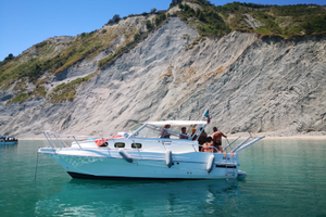 Dc8 dellapasqua e carnevali