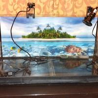 Tartarughiera - Terrario - Acquario per tartarughe