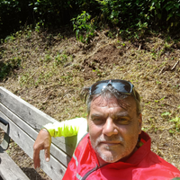 Autista D CQC Bus ,Minibus, Scuolabus, Taxi NCC