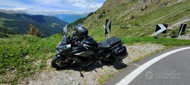 Kawasaki Ninja 1000 SX (2020) - Tagliandata, Borse