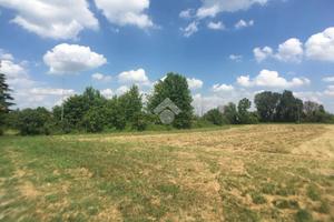 TER. RESIDENZIALE A CASTELBELFORTE