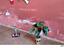 Immagine 11