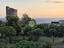 Immagine 21