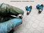 Immagine 11