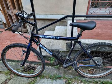 Bicicletta MTB