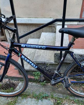 Bicicletta MTB